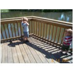 feeding the ducks.jpg